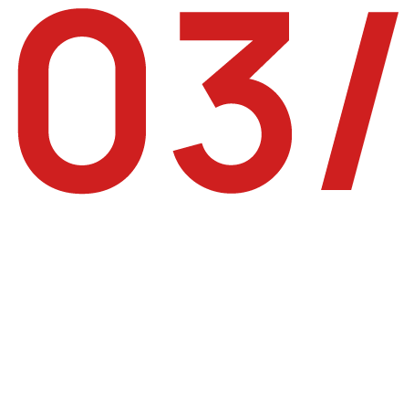 Design & Development